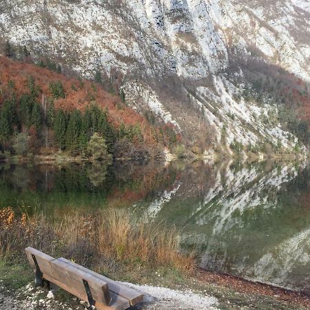 Pr'Mruzo Apartmaji Bohinj Bagian luar foto